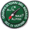 logo.alpini.2